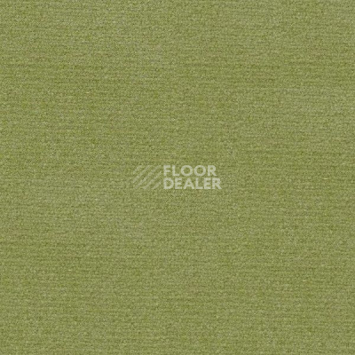 Ковролин Radici Abetone Verde 3138 фото 1 | FLOORDEALER